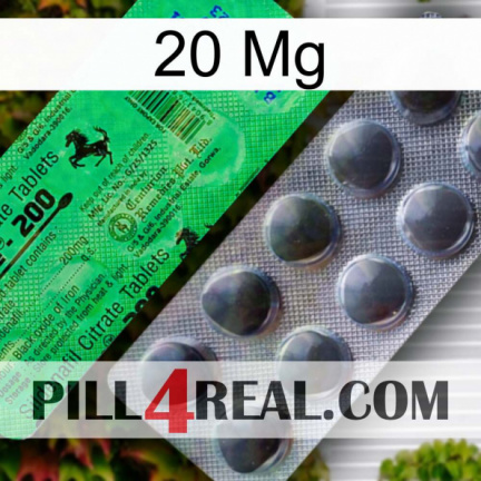 20Mg new04